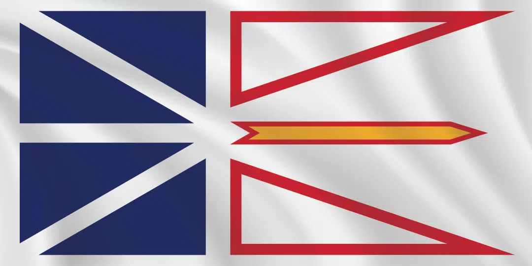 Premium Newfoundland Flag The Flag Shop
