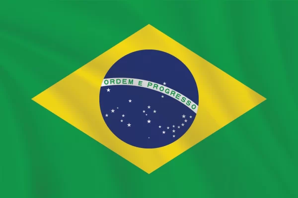 Flags of the World 2:3 Ratio Brazil Flag
