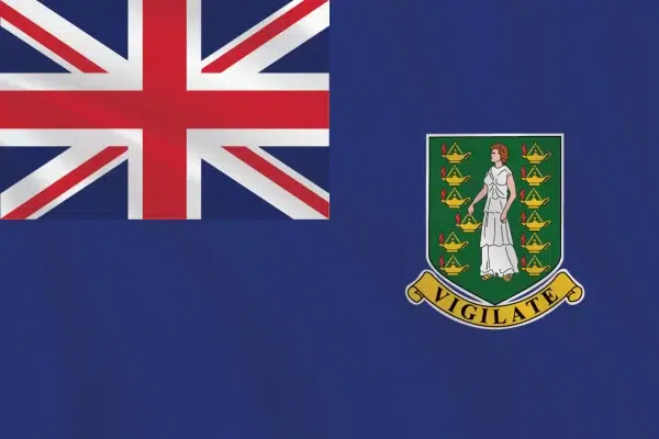 Flags of the World 2:3 Ratio British Virgin Islands Flag