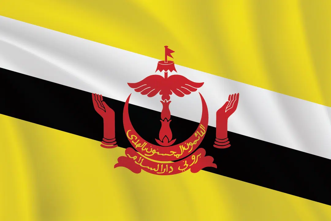 Flags of the World 2:3 Ratio Brunei Flag