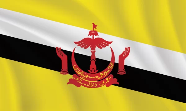 3:5 Ratio Brunei Flag
