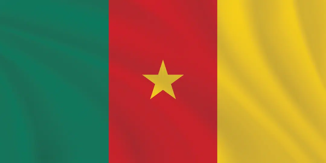 Flags of the World 1:2 Ratio Cameroon Flag