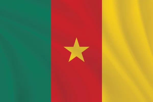 Flags of the World 2:3 Ratio Cameroon Flag