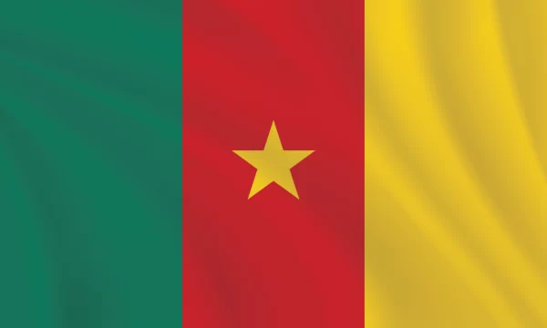3:5 Ratio Cameroon Flag