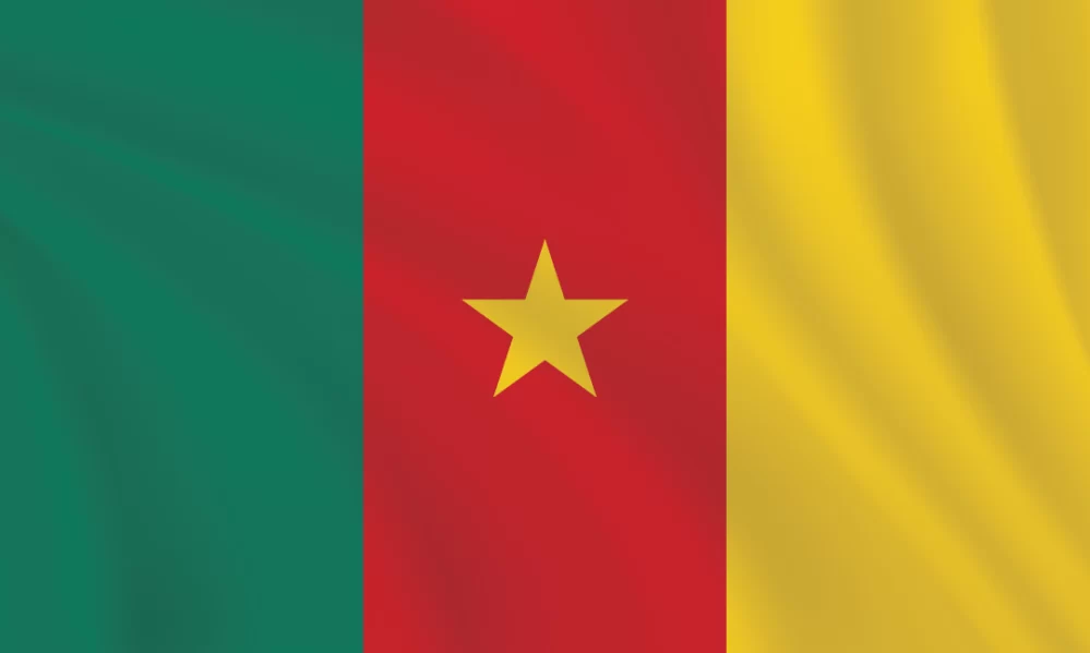 3:5 Ratio Cameroon Flag