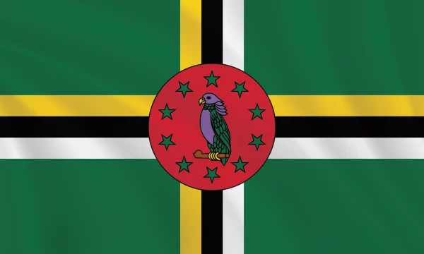 3:5 Ratio Dominica Flag