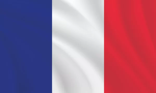 3:5 Ratio France Flag