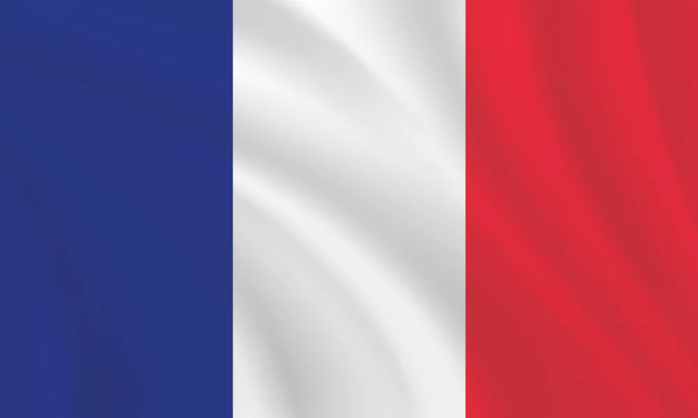 3:5 Ratio France Flag