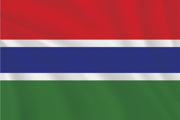 Flags of the World 2:3 Ratio Gambia Flag