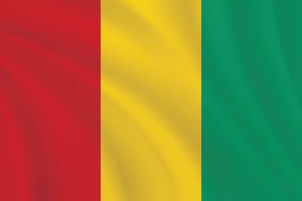 Flags of the World 2:3 Ratio Guinea Flag | The Flag Shop