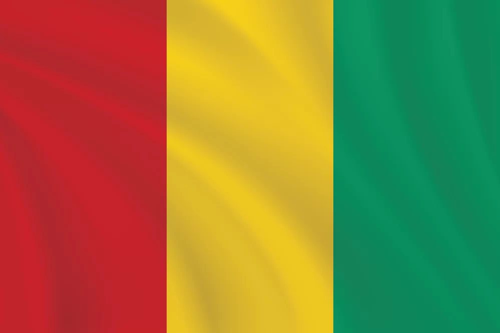 Flags of the World 2:3 Ratio Guinea Flag | The Flag Shop