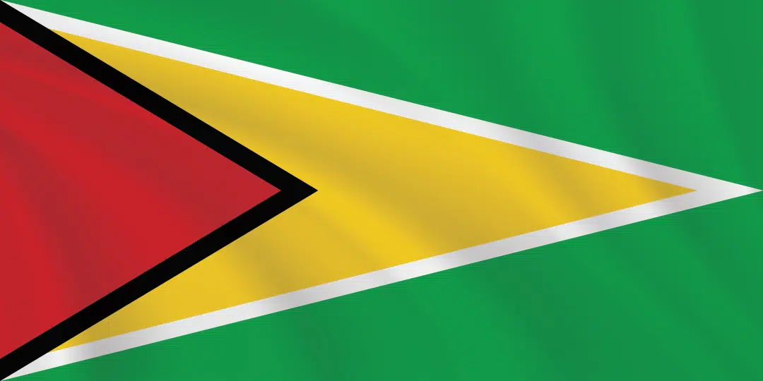 Flags of the World 1:2 Ratio Guyana Flag