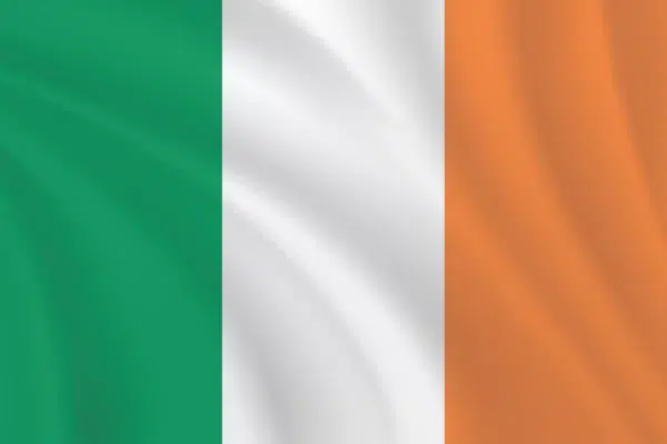 Flags of the World 2:3 Ratio Ireland Flag | The Flag Shop