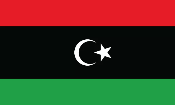 3:5 Ratio Libya Flag