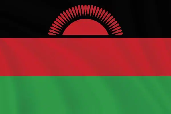 Flags of the World 2:3 Ratio Malawi Flag