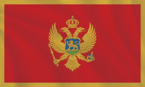 3:5 Ratio Montenegro Flag