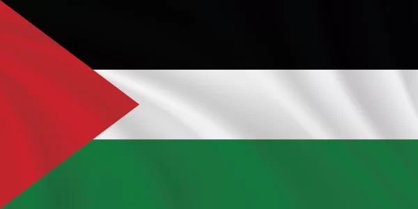 Flags of the World 1:2 Ratio Palestine Flag