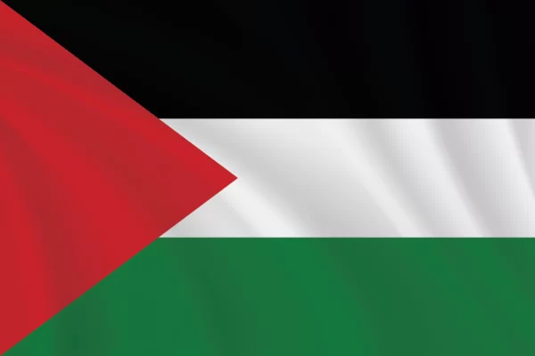 Flags of the World 2:3 Ratio Palestine Flag