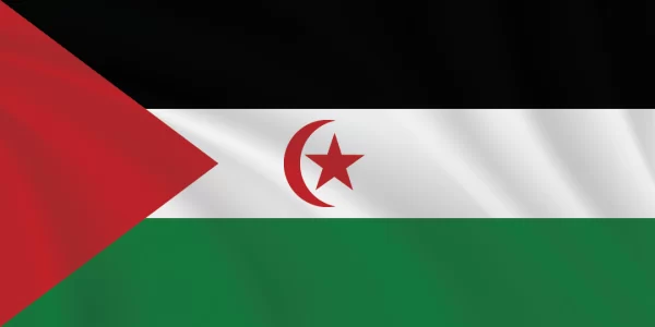 Flags of the World 1:2 Ratio Sahrawi Flag