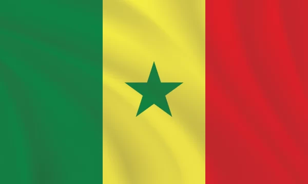 3:5 Ratio Senegal Flag