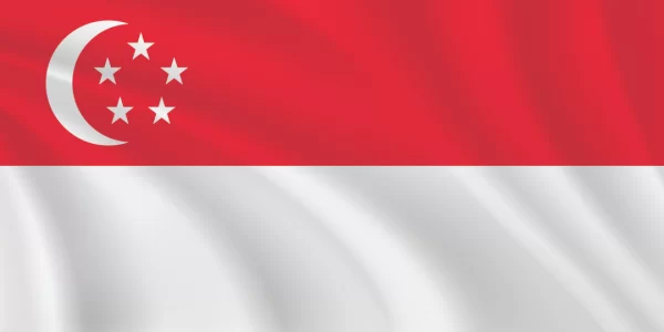 Flags of the World 1:2 Ratio Singapore Flag