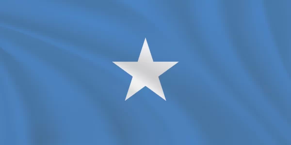 Flags of the World 1:2 Ratio Somalia Flag