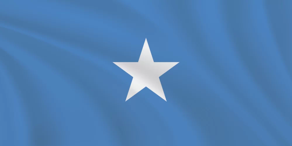 Flags of the World 1:2 Ratio Somalia Flag