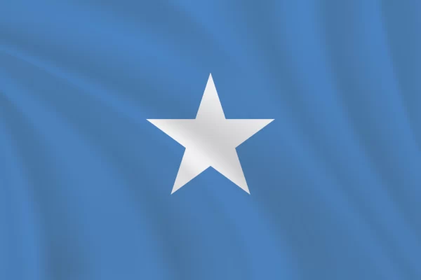 Flags of the World 2:3 Ratio Somalia Flag