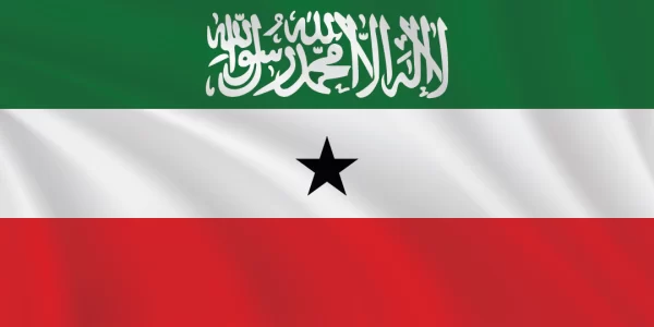 Flags of the World 1:2 Ratio Somaliland Flag