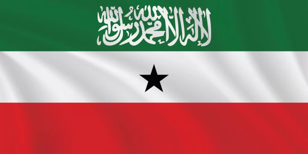 Flags of the World 1:2 Ratio Somaliland Flag