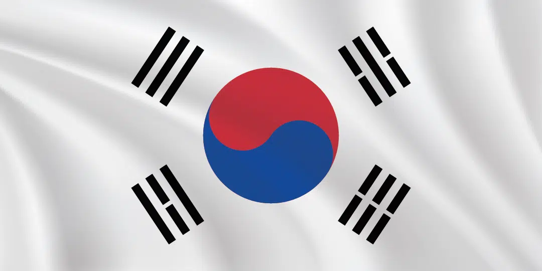 Flags of the World 1:2 Ratio South Korea Flag
