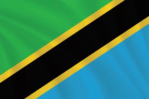 Flags of the World 2:3 Ratio Tanzania Flag