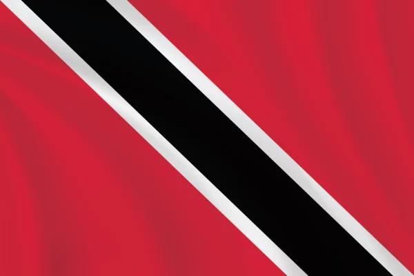 Flags of the World 2:3 Ratio Transnistra Flag