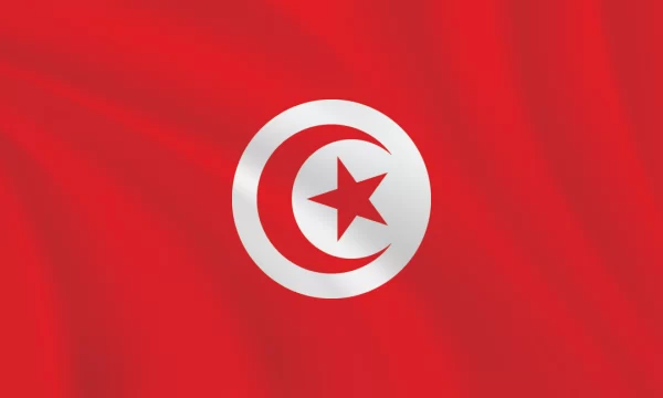 Flags of the World - 3:5 Ratio Tunisia Flag