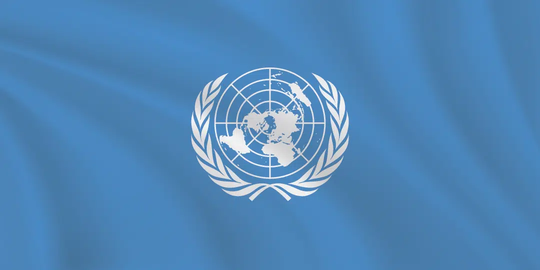 Flags of the World 1:2 Ratio United Nations Flag