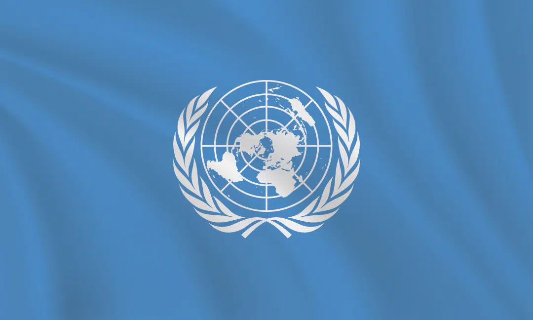 Flags of the World - 3:5 Ratio United Nations Flag