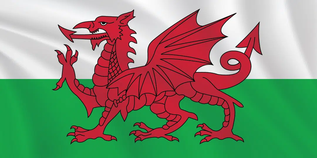 Flags of the World 1:2 Ratio Wales Flag