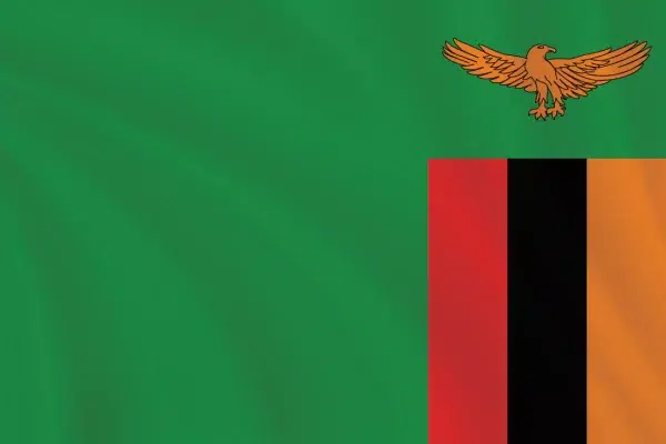 Flags of the World 2:3 Ratio Zambia Flag
