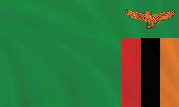 Flags of the World - 3:5 Ratio Zambia Flag