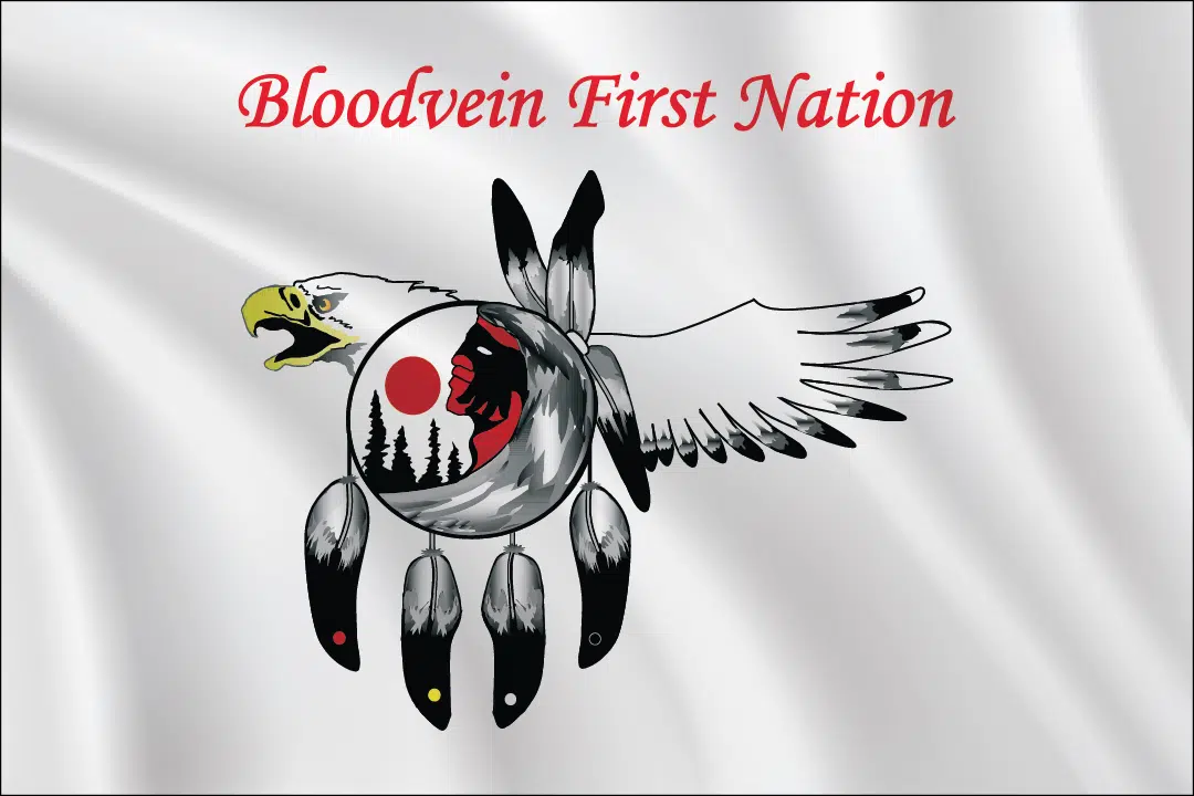 2:3 Ratio Bloodvein First Nation Flag