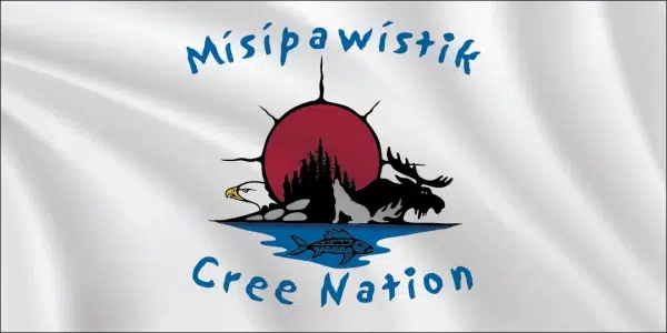 Misipawistik flag 1x2