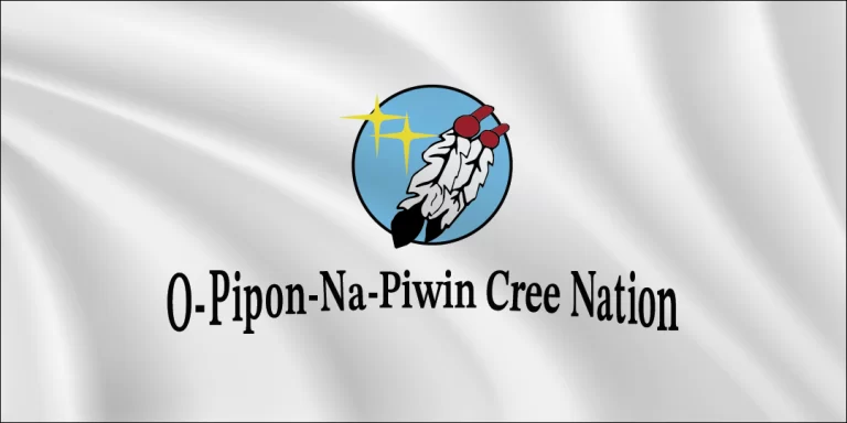 O-pipon-na-piwin cree flag 1x2