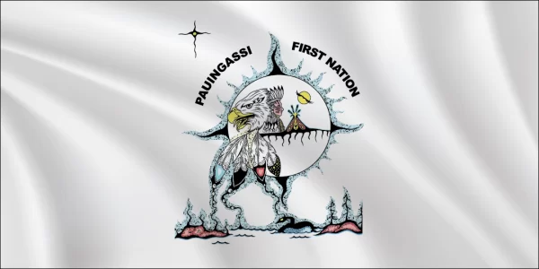 Pauingassi flag 1x2
