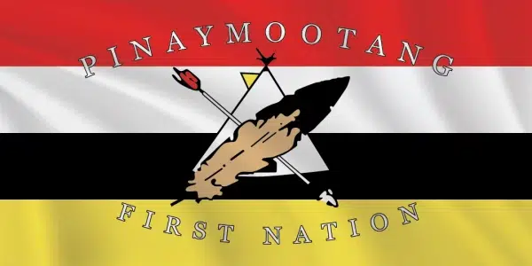 Pinaymootang flag 1x2