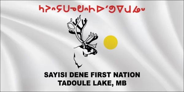 Sayisi dene flag 1x2