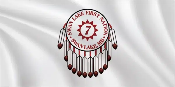 Swan lake flag 1x2