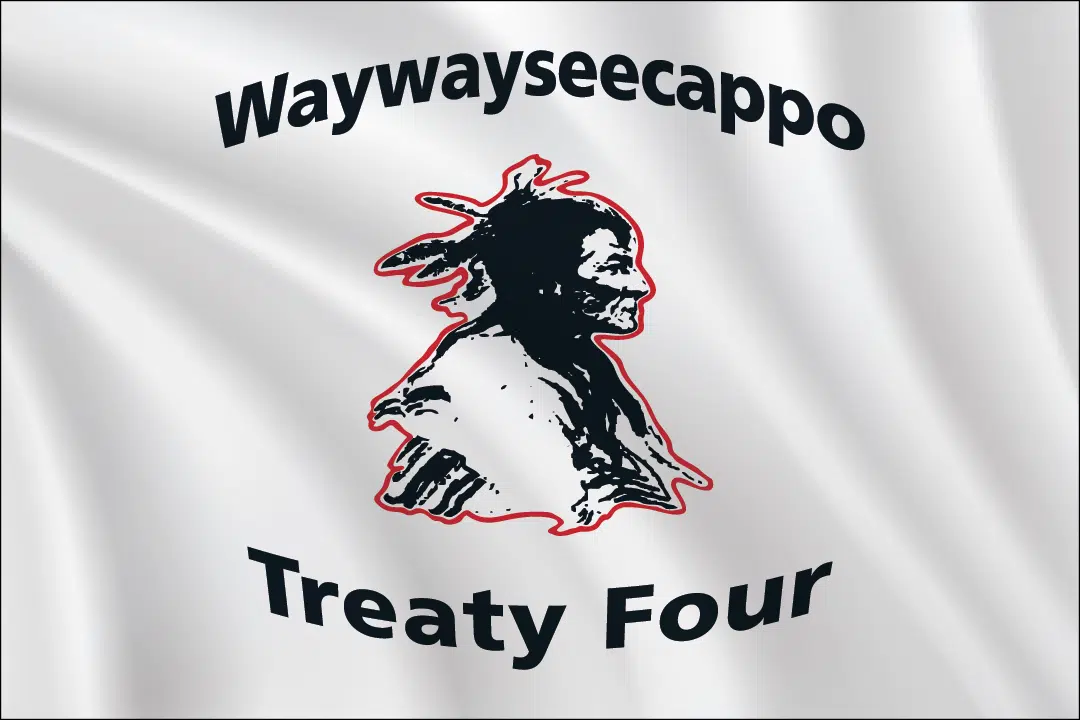Waywayseecappo flag 2x3