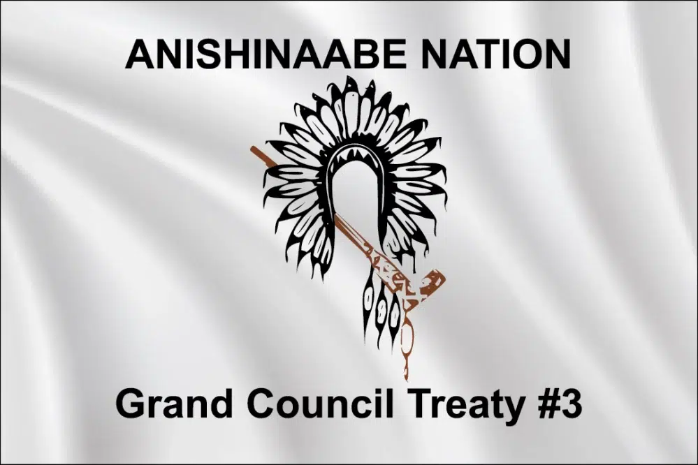 Treaty 3 flag in a 2:3 proportion