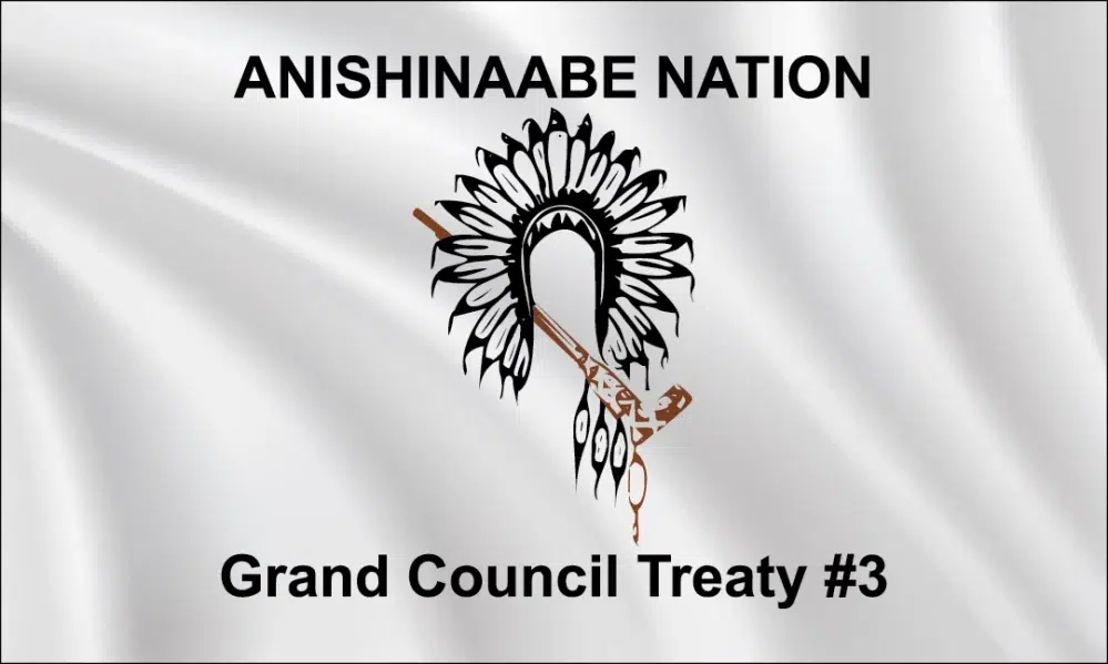 Treaty 3 flag in a 3:5 proportion