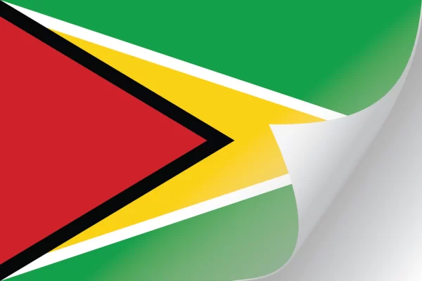 3"x5" Guyana Flag Decal